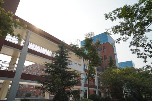 污污污网站在线观看教学楼