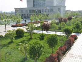 污污污网站在线观看花园